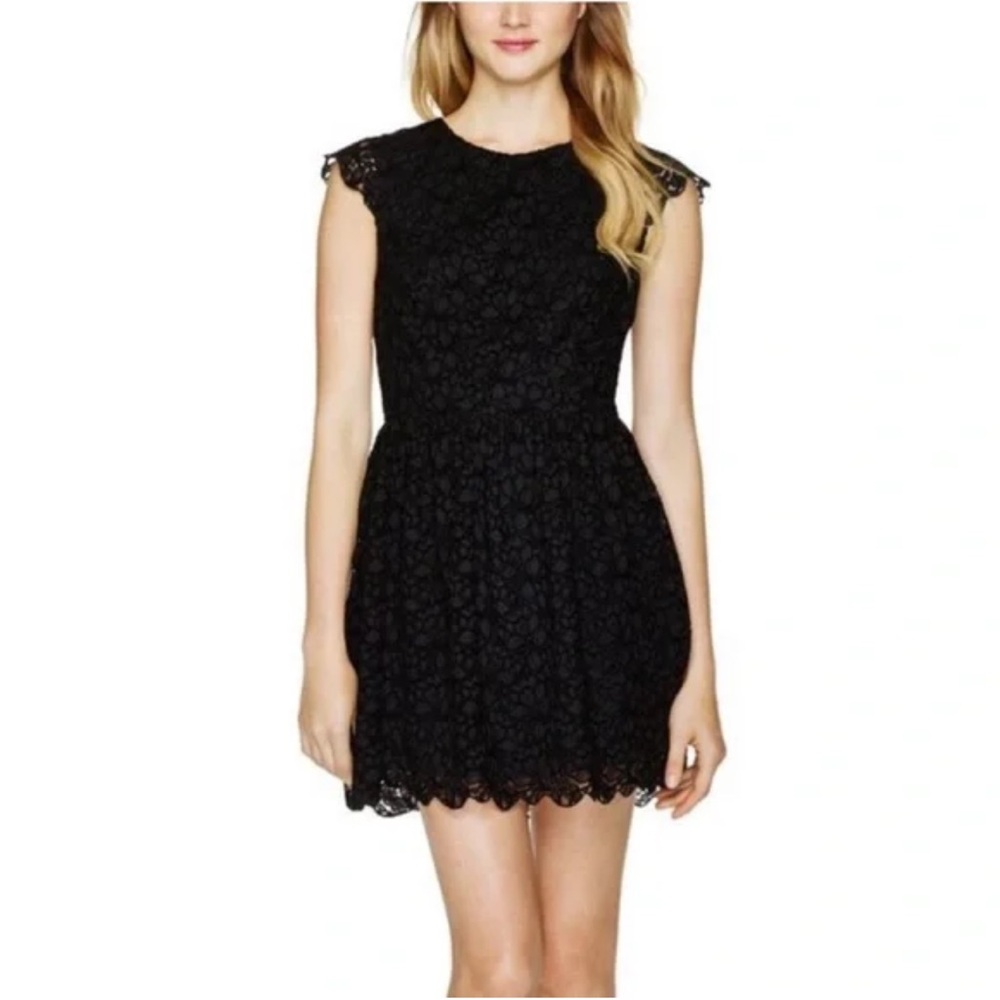 Aritzia Talula Belgravia Lace Fit & Flare Dress